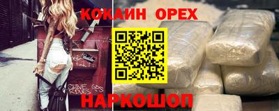амф Гатчина