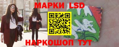 амф Гатчина