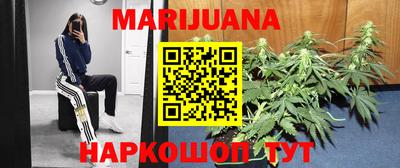 амф Гатчина