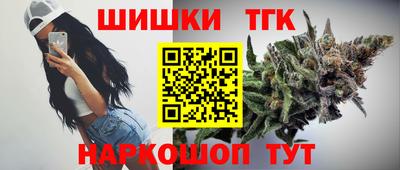 амф Гатчина