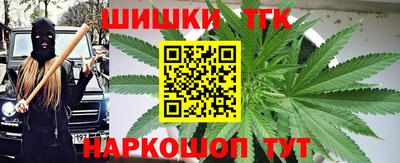 амф Гатчина