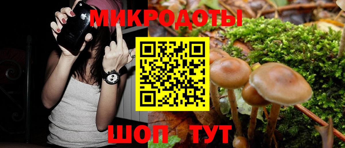 Галлюциногенные грибы прущие грибы  Вход с VPN  Стрежевой 